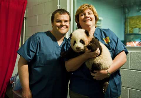 Jack Black Meets Po the Giant Cub Panda